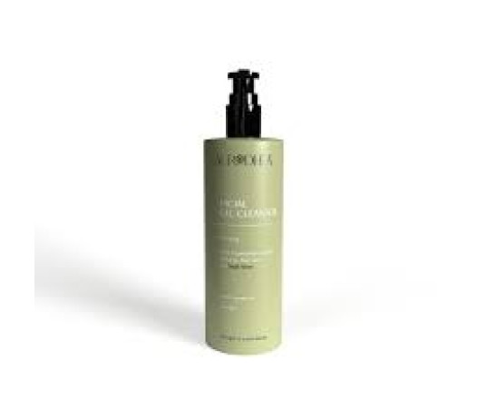 CHOGAN Veido prausiklis su sraigių mucinu 260ml.