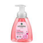 HERBINA muilo putos 300 ml